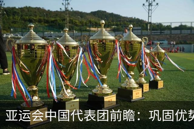 亚运会中国代表团前瞻：巩固优势、直面挑战